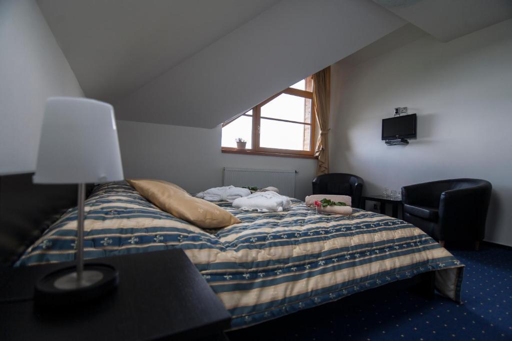 Krusnohorsky Dvur 3* Cínovec